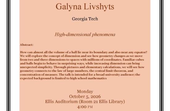High-dimensional phenomena - Livshyts